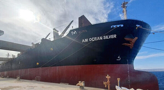 MV AM Ocean Silver