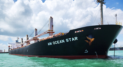 MV AM Ocean Star